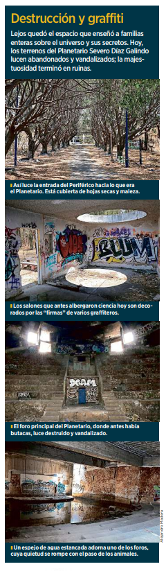 Destrucción y graffiti